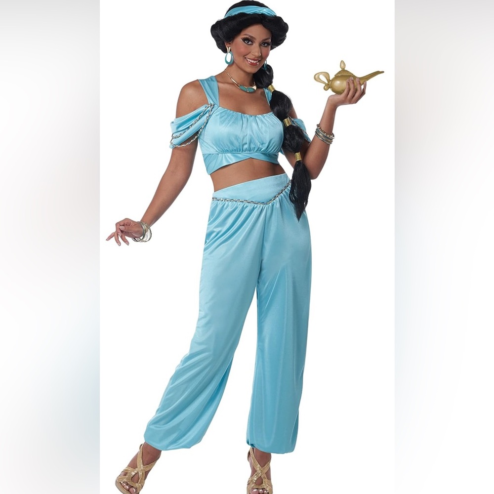 Princess Jasmine Costume: Light Blue Satin Top, Pants, Wig, Jewelry Set
